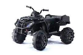 Электроквадроцикл BARTY Т009МР черный